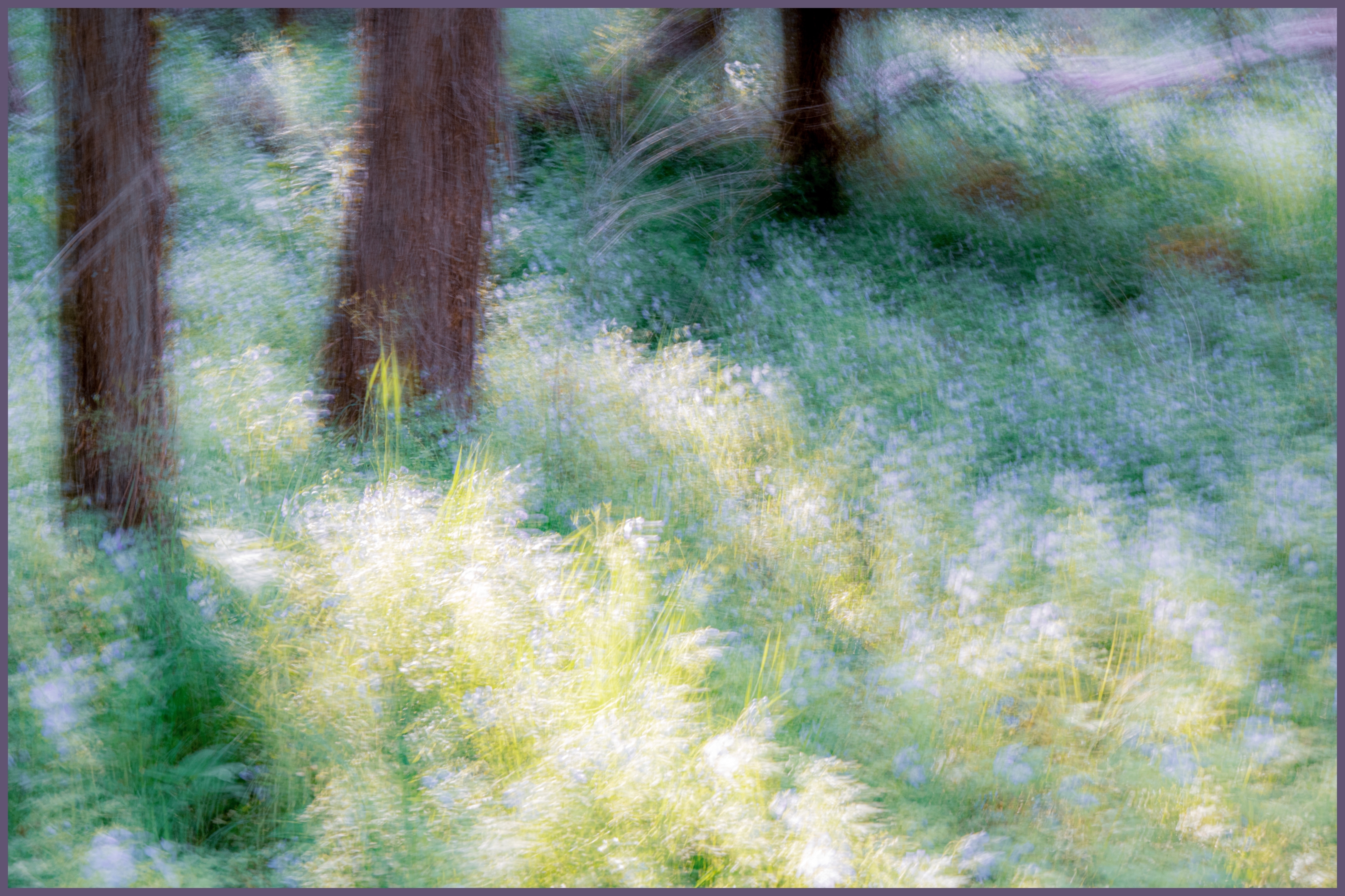 Tiled Image