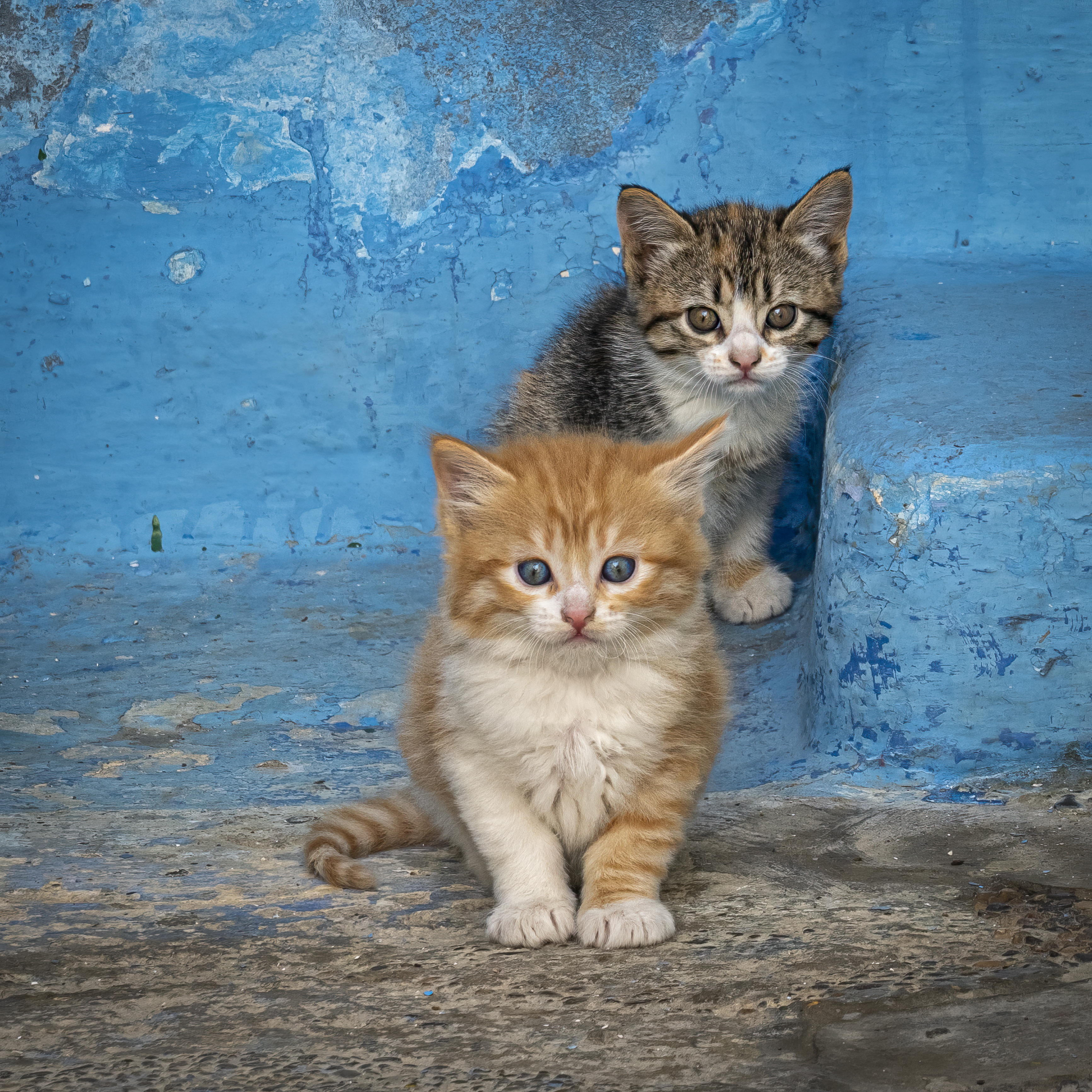 Tiled Image