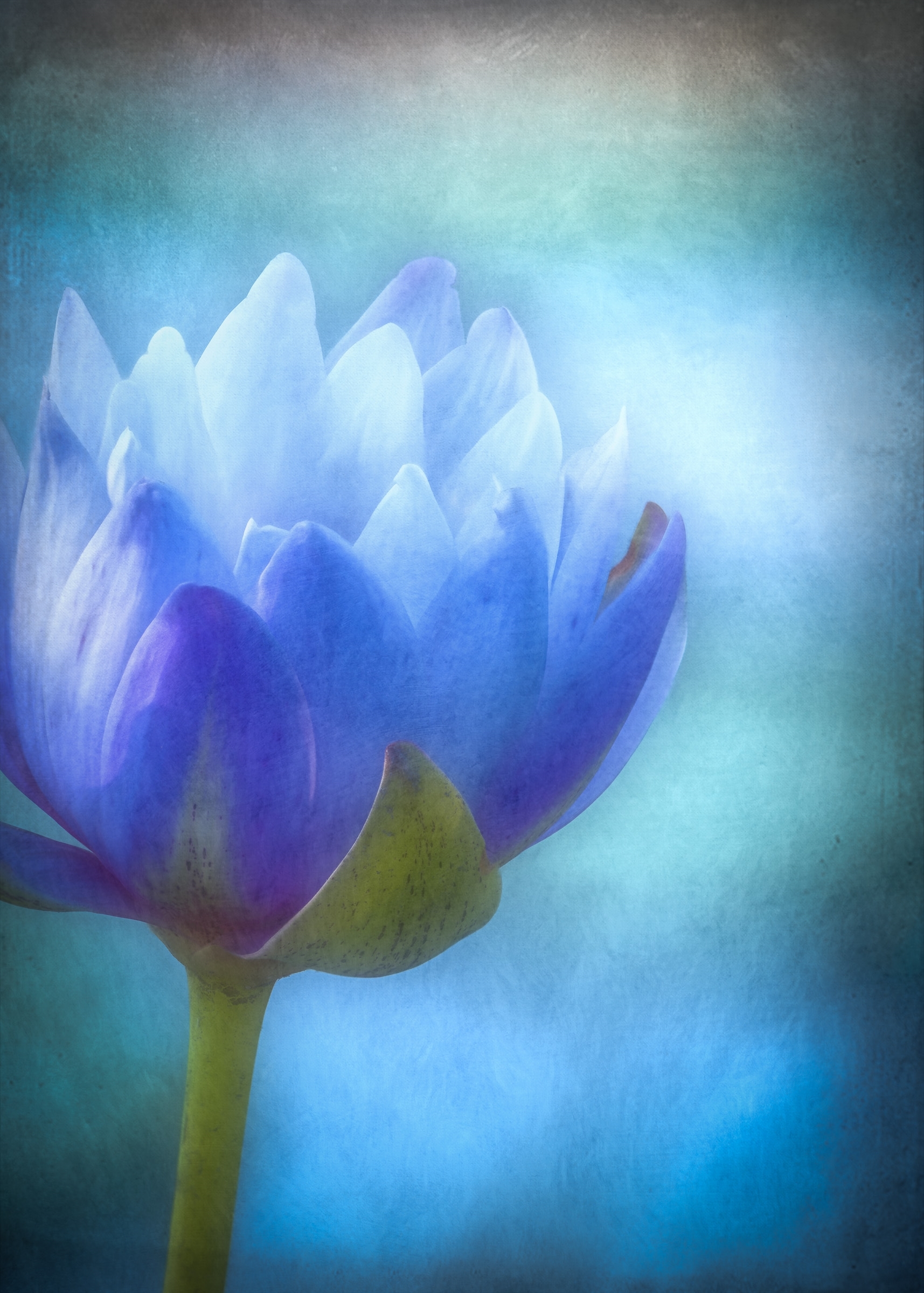 Tiled Image