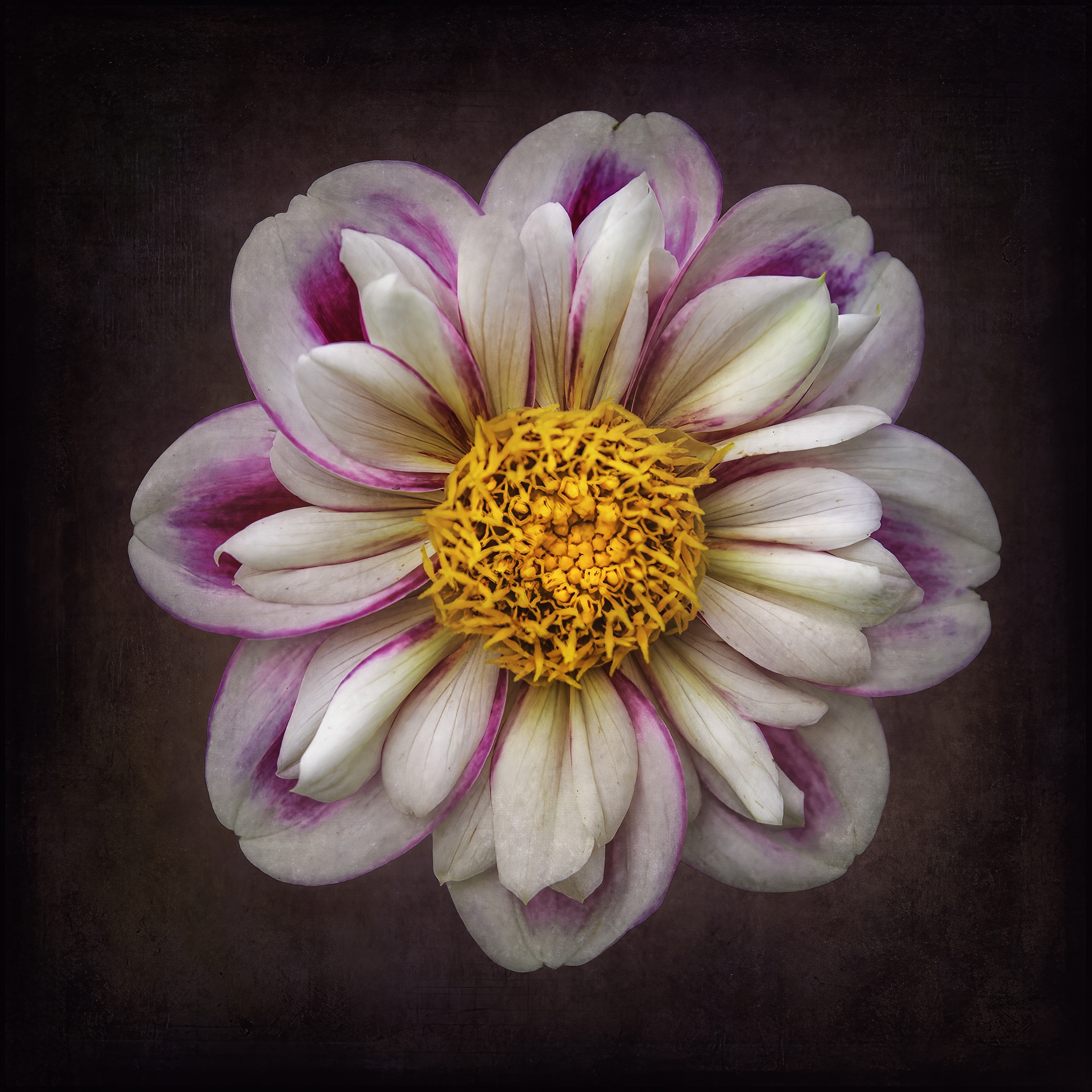 Tiled Image