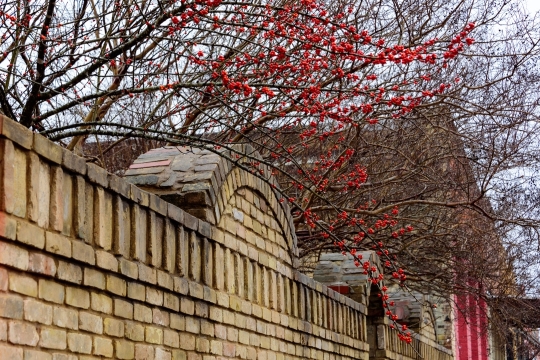 Tiled Image