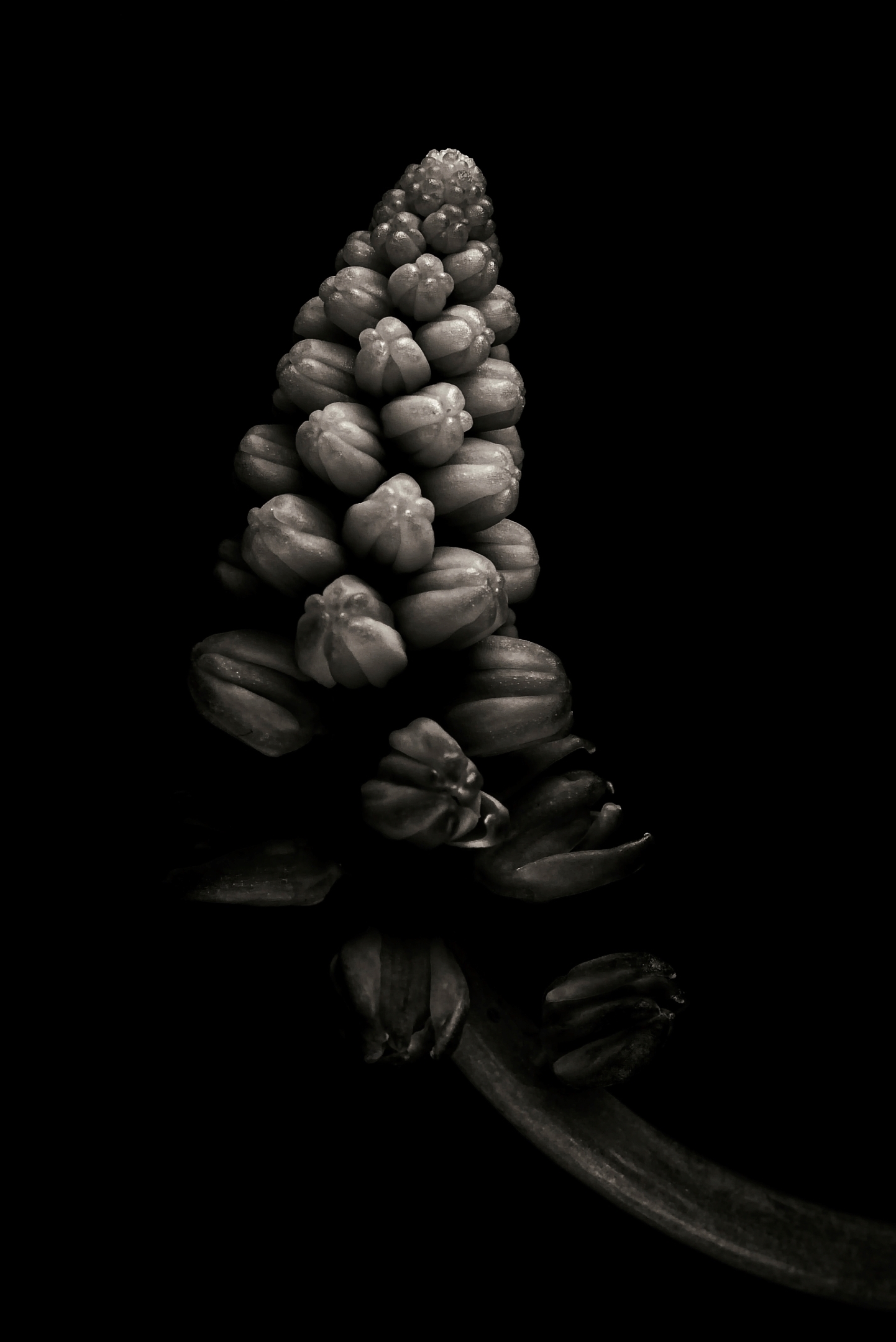 Tiled Image