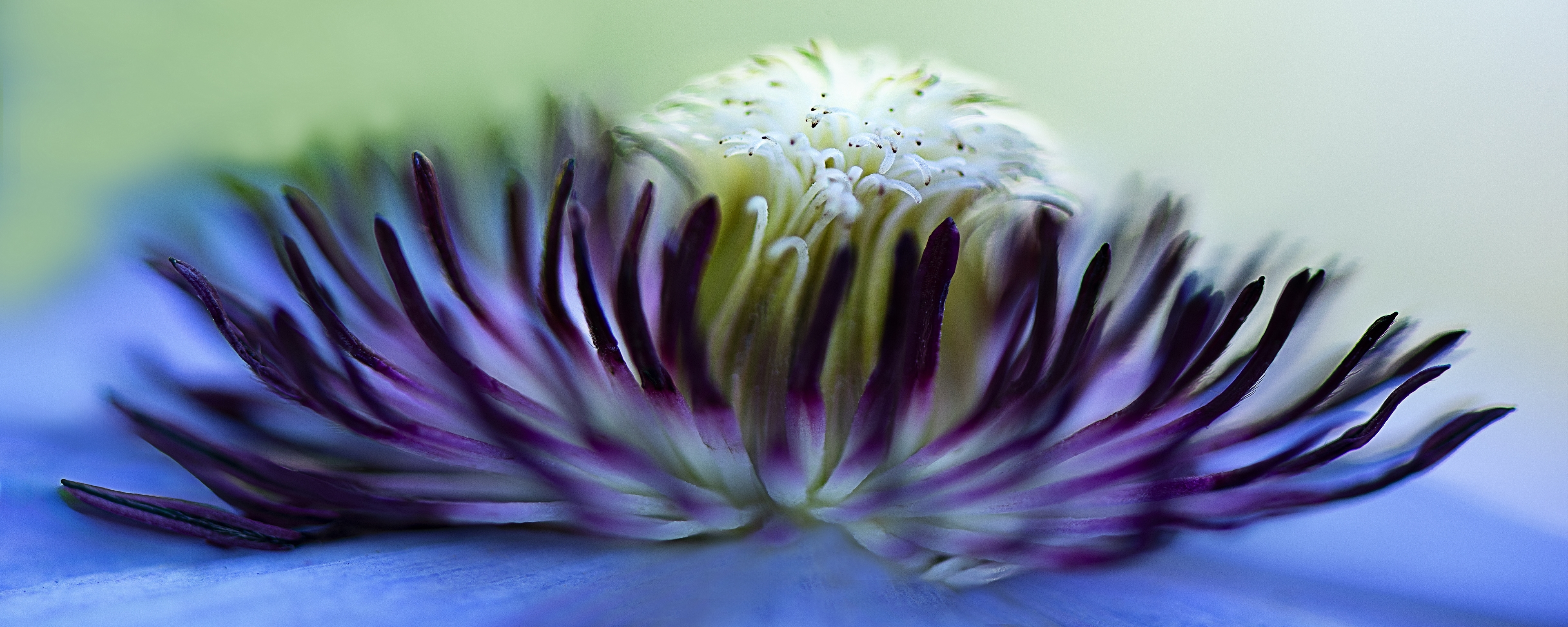 Tiled Image