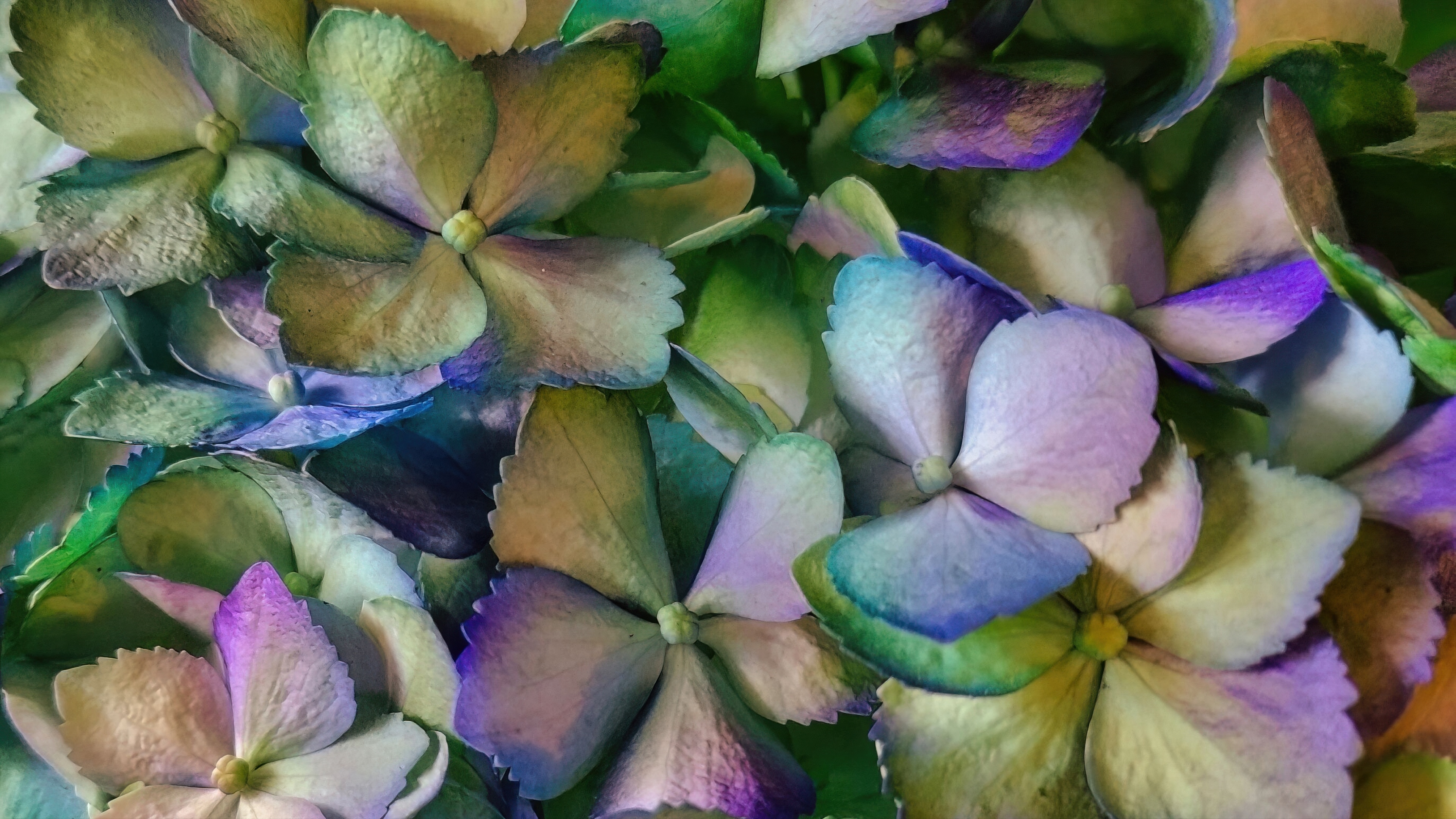 Tiled Image