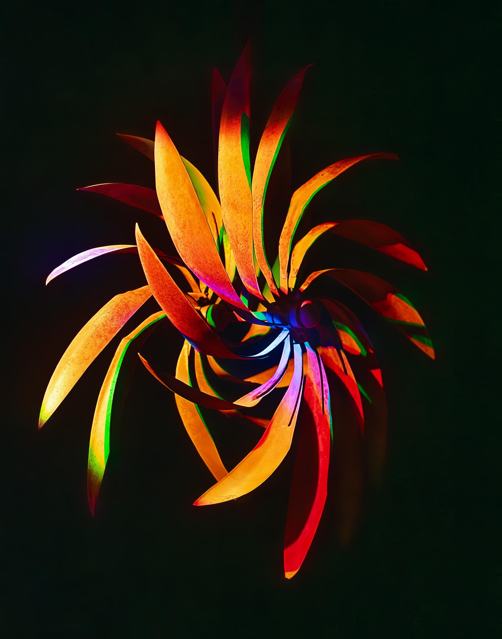 Tiled Image